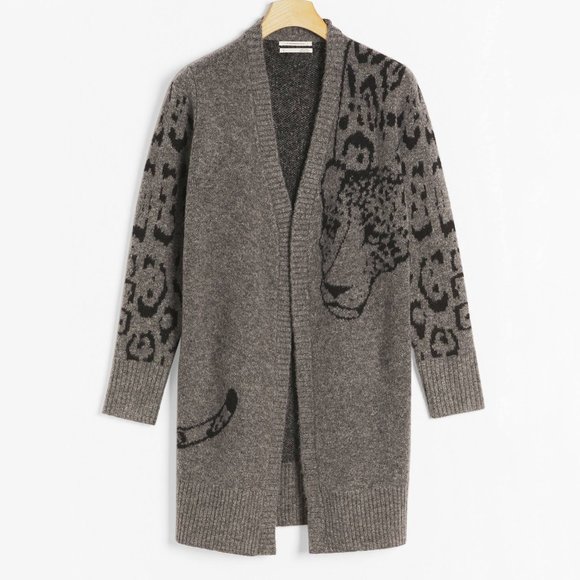 Anthropologie Sweaters - HTF Anthropologie Averie Leopard Cardigan